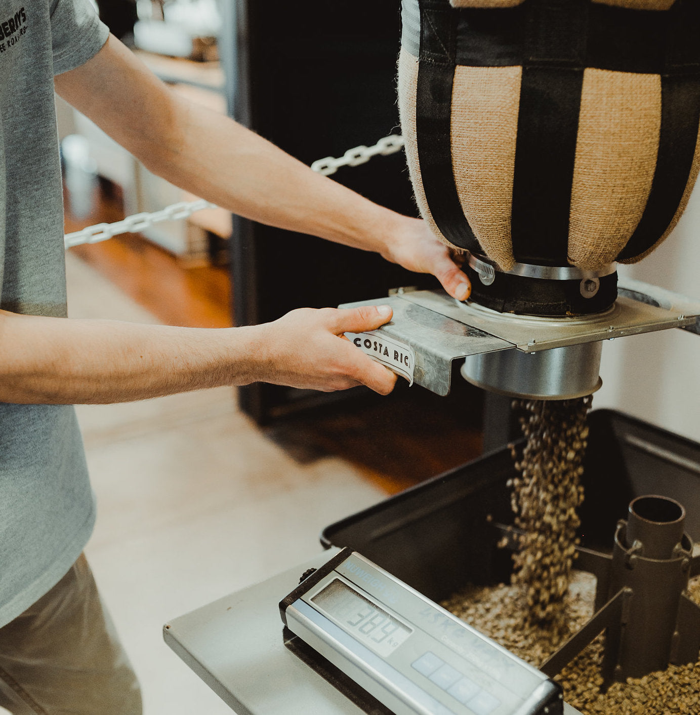 HOW TO CHOOSE THE RIGHT GREEN BEANS FOR SPECIALTY COFFEE